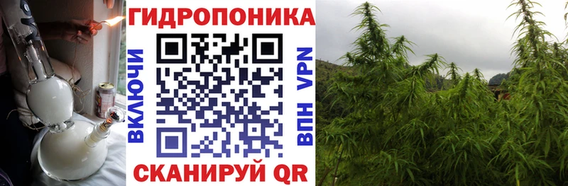 дарнет шоп  Каменка  Бошки марихуана Amnesia 